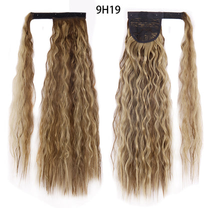 Human Hair HD Lace Wigs (Most Selling)